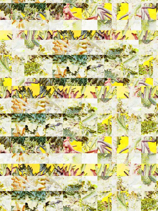 复古印花华亿平台图片