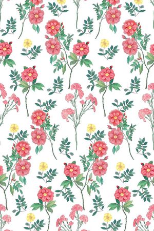 休闲印花华亿平台图片