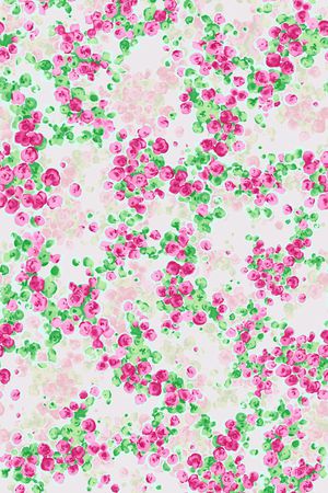 小碎花印花华亿平台图片