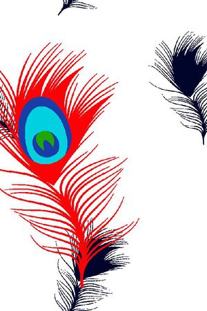 孔雀羽毛印花华亿平台图片