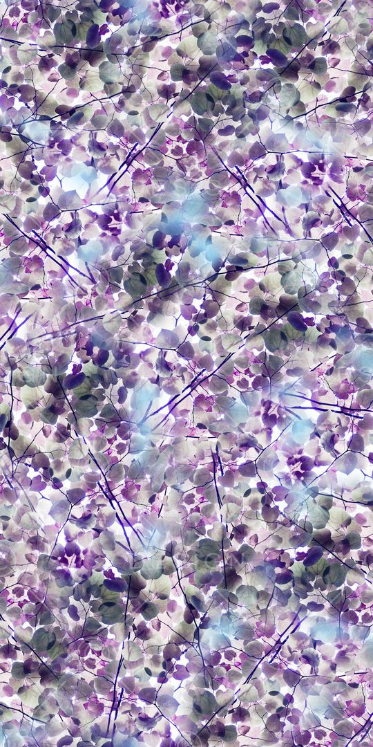 树叶印花华亿平台图片