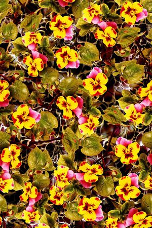 三色堇印花华亿平台图片