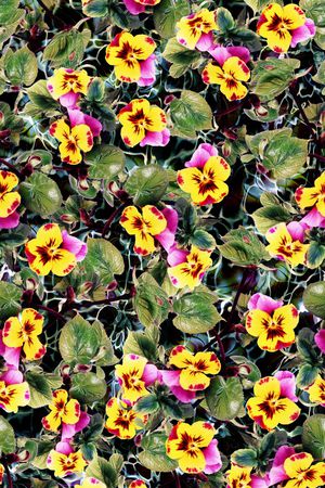 三色堇印花华亿平台图片