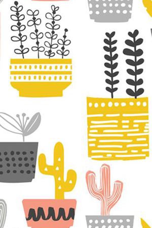 手绘仙人球华亿平台。简笔画印花华亿平台图片