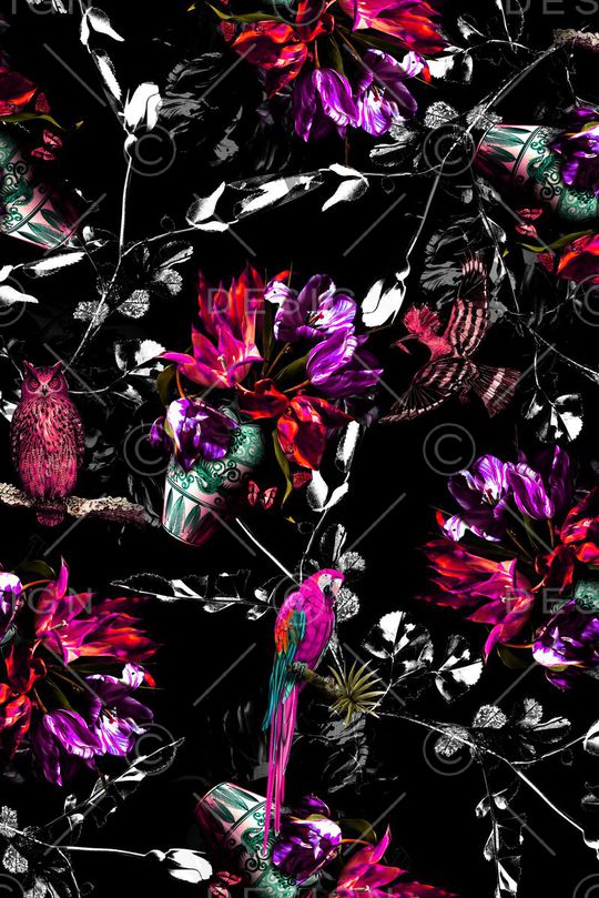 女装印花华亿平台图片