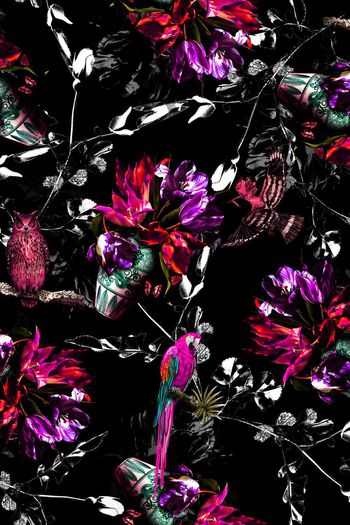 679071-FLZ-7-303....