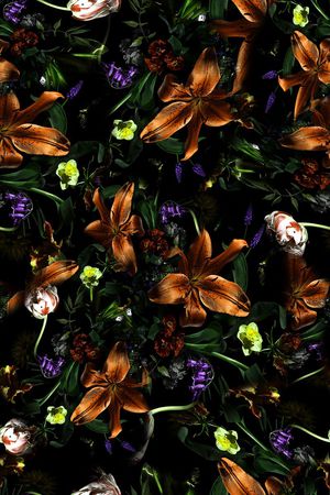 女装印花华亿平台图片