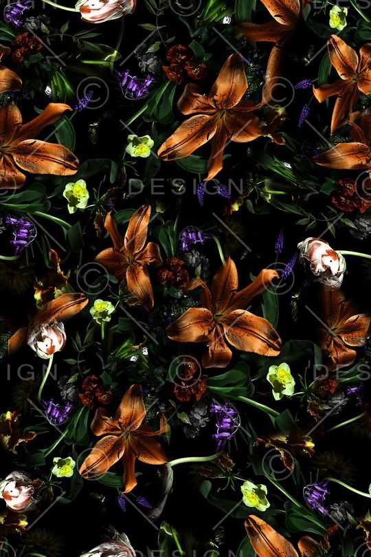 女装印花华亿平台图片