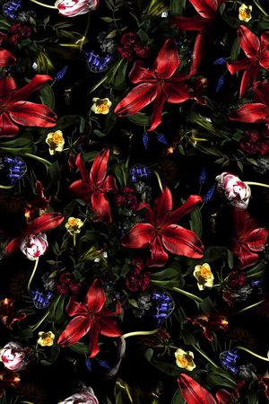 女装印花华亿平台图片