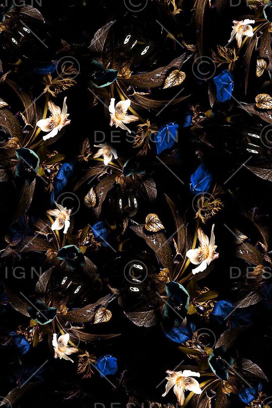 女装印花华亿平台图片