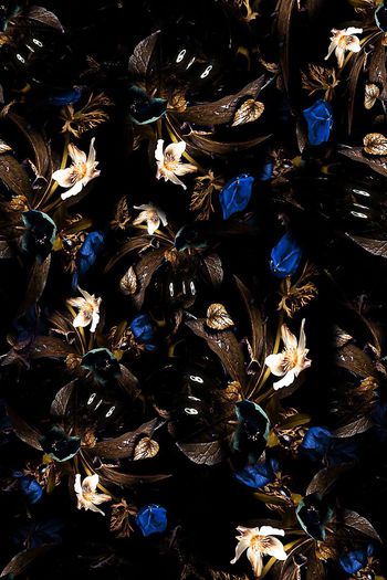 679081-FLZ-7-305....