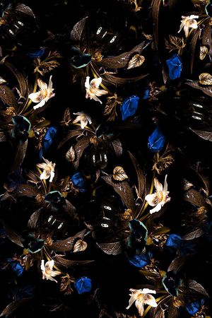 女装印花华亿平台图片