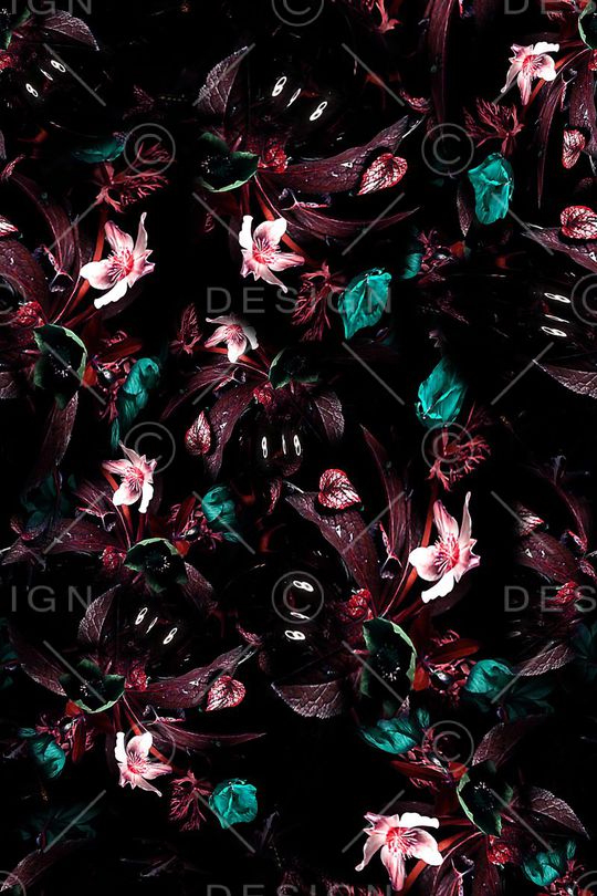 女装印花华亿平台图片