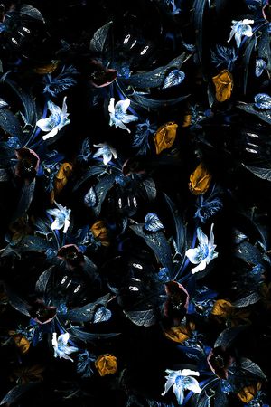 女装印花华亿平台图片