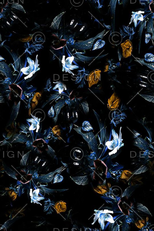 女装印花华亿平台图片