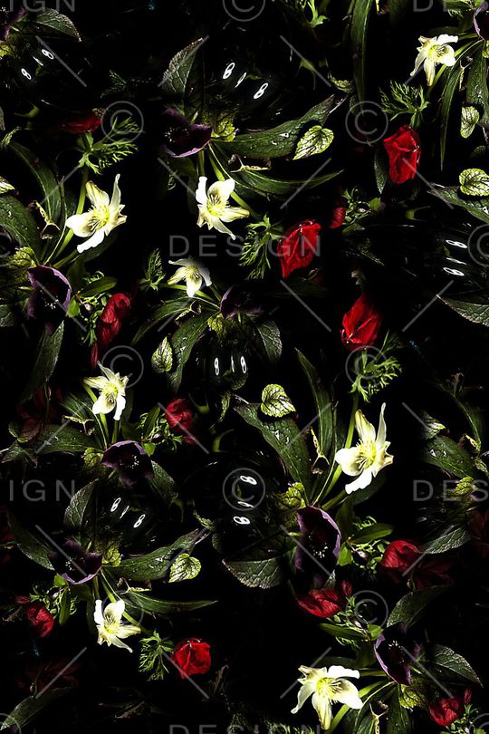 女装印花华亿平台图片