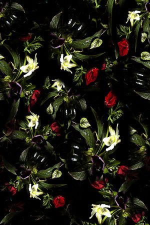 女装印花华亿平台图片