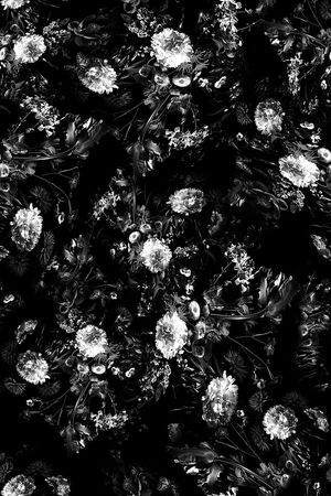 女装印花华亿平台图片