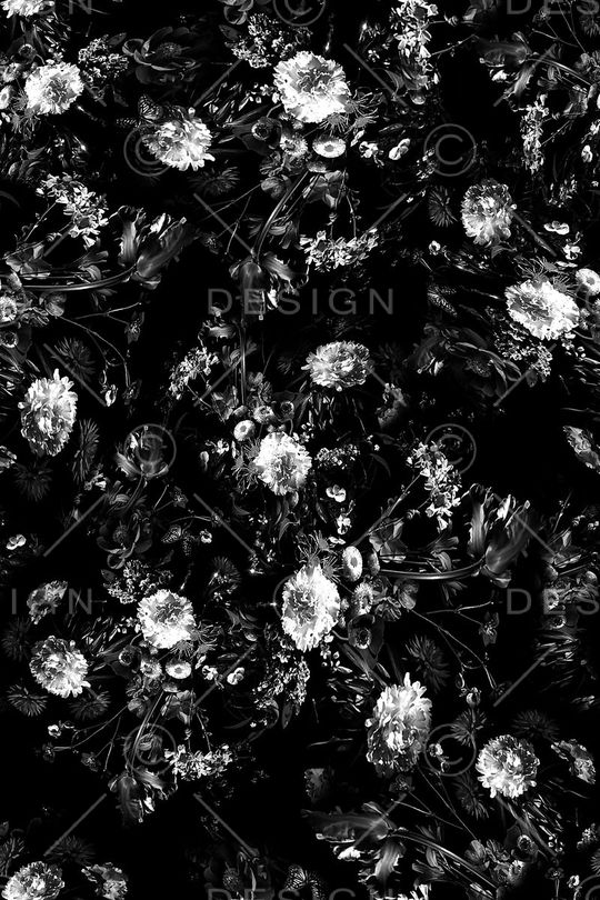 女装印花华亿平台图片