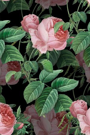 植物印花华亿平台图片