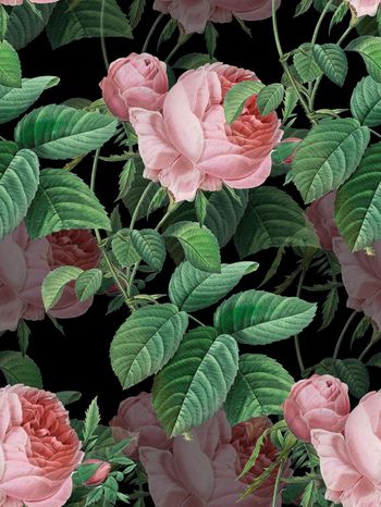 植物印花华亿平台图片