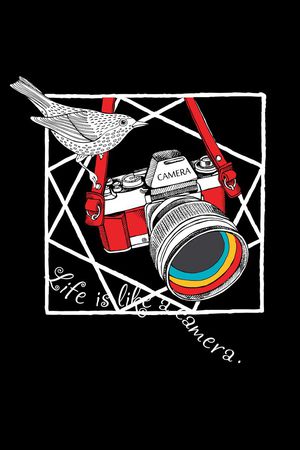 照相机印花华亿平台图片