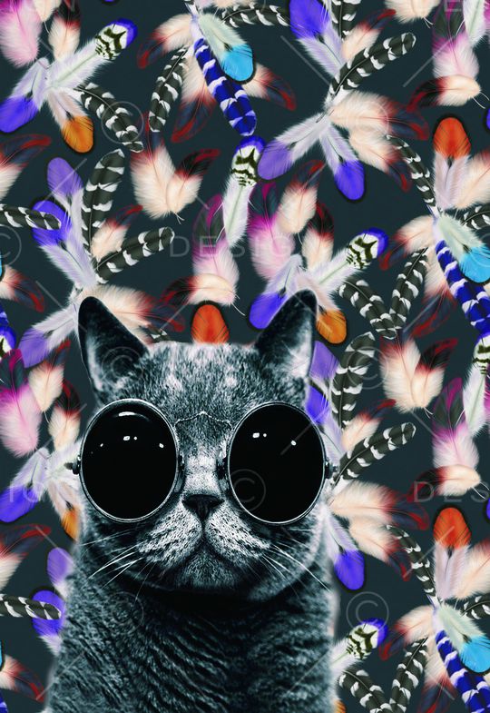 猫印花华亿平台图片