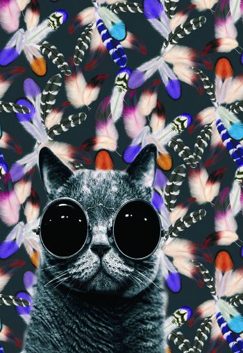 猫印花华亿平台图片