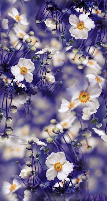 照片印花华亿平台图片