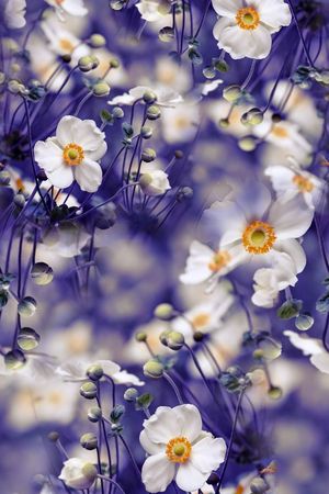 照片印花华亿平台图片