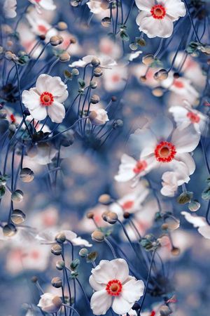 照片印花华亿平台图片