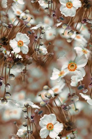 照片印花华亿平台图片