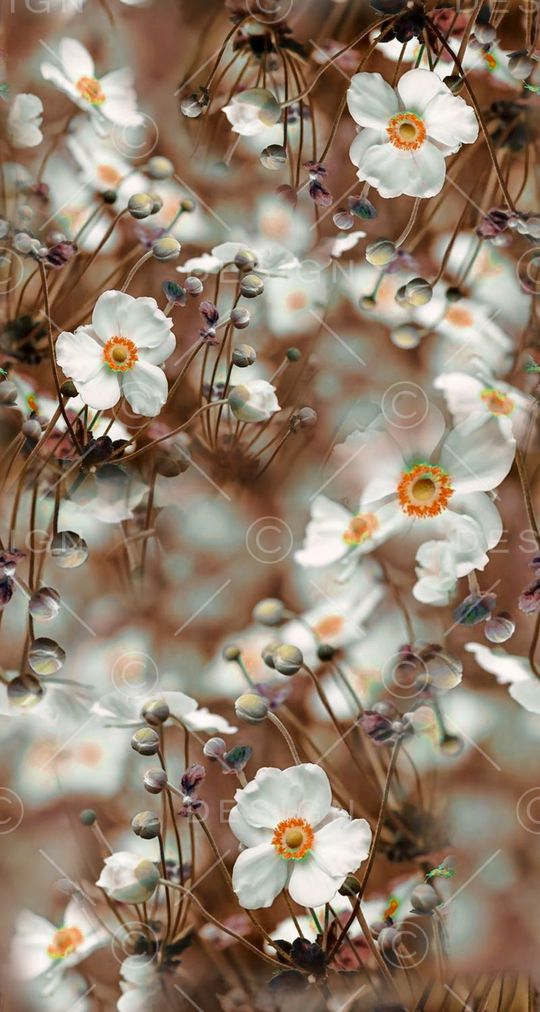 照片印花华亿平台图片