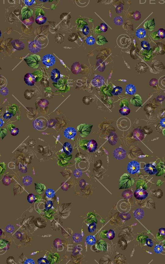 花卉牵牛花印花华亿平台图片