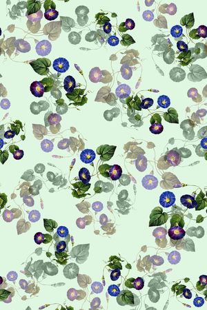 花卉牵牛花印花华亿平台图片