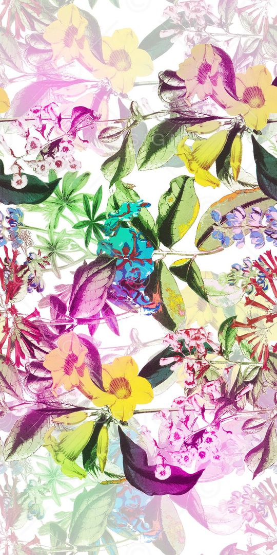 竹印花华亿平台图片