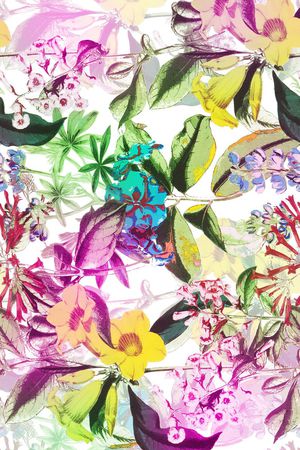 竹印花华亿平台图片