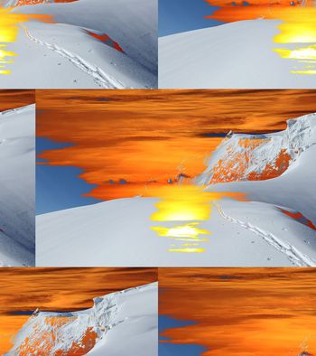 679595-时尚几何风景如画拼贴花卉2