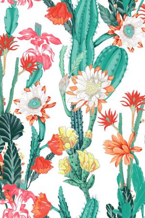 17SS新款印花华亿平台图片