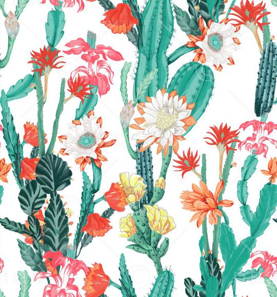 17SS新款印花华亿平台图片