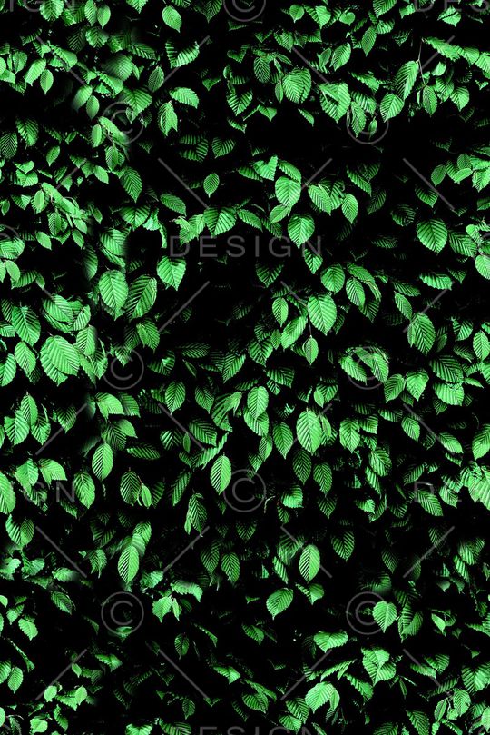 现代印花华亿平台图片