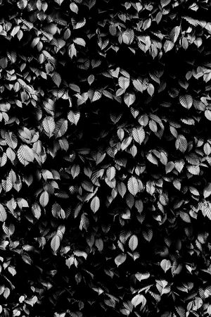 现代印花华亿平台图片