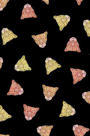 时尚女装民族风印花华亿平台图片