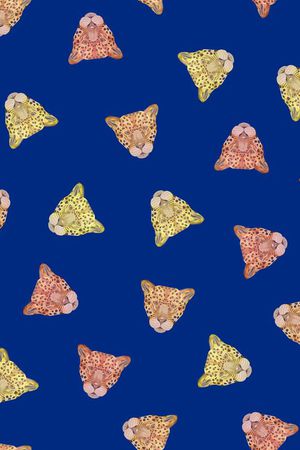 时尚女装民族风印花华亿平台图片