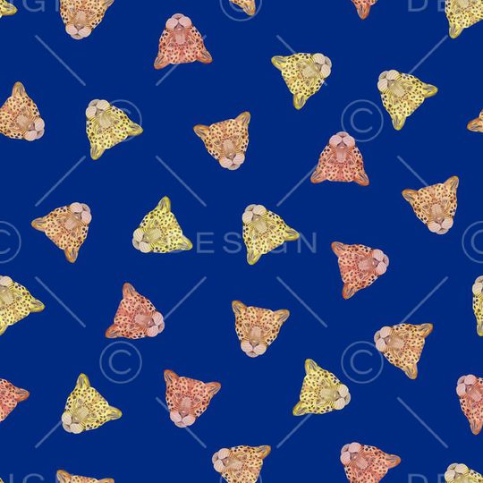 时尚女装民族风印花华亿平台图片