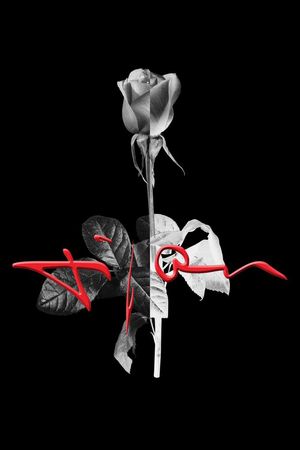 大牌印花华亿平台图片