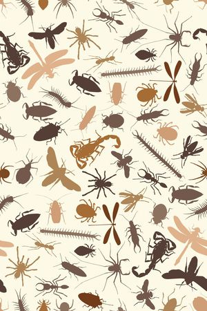 蜘蛛印花华亿平台图片