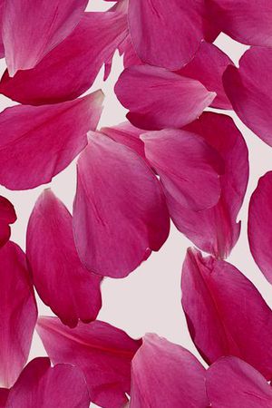 colorfull印花华亿平台图片