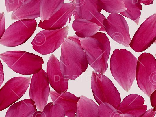 colorfull印花华亿平台图片