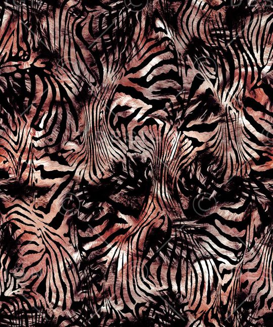 Fei-女装印花华亿平台图片